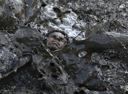 ӡ������μ�����ܲ����� ������������