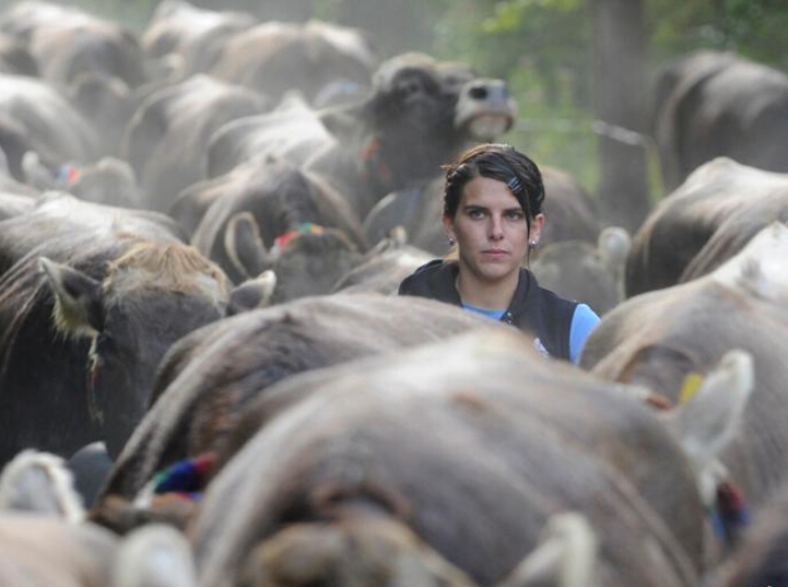 �¹��������ݴ��� ��ǧͷţͬʱ��ɽ��