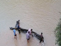 �Ĵ����񡰵�����ǧ����ľ ������������6000Ԫ��