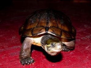 ����������������������������