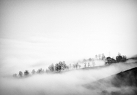 ����ѧ������Ӱ �������ֵ�ʫ���⡱