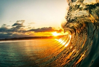 ���˽�����Ǳ�����������ľ����ճ����䡱