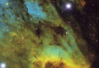 �������棡���İ�����������ͼ����Ů���١�