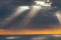 Ӣ����Ӱʦ��׽��⴩���澰 �������˵�½��