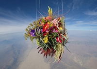 �ձ������Ұ���������ǧ�׸߿������ա�