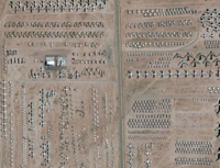 ���ֵ������Ǹ������� ������������̾Ϊ��ֹ��