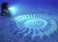 ��Ȼ��ɥ�Ĳ���ġ���������