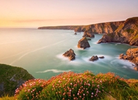 �������Ӱʦ��ͷ�µ�Ӣ��������