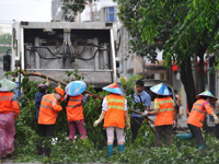 ̨��������æ��