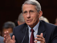 ����������а�����������֤�ᡱ