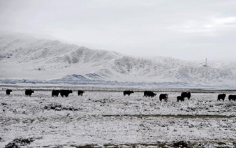 四川红原大草原迎来今年入秋第一场雪”