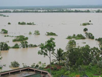 ̨�硰��Ÿ����½Խ�� Ю�����Ӱ�������