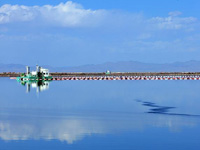 ������κ�����֤���ľ�λ����ڷɡ�