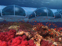 ȫˮ¾Ƶͷʮ δżԤԼ