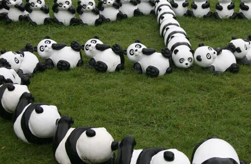 1600只环保熊猫下榻杭州”
