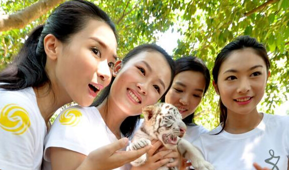 中华小姐与动物亲密接触”