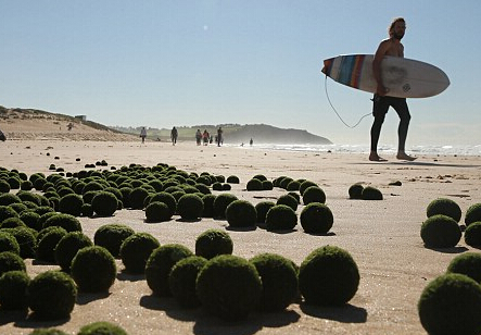 Ϥ�ả̲���ִ���������ɫ�����嵰��(������ͼ)��