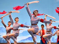 ������硶��ɫ���Ӿ���50��������ݳ��������ݡ�