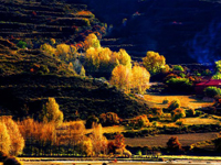 �Ĵ�ӭ�������� Ʒ���ϸ������顱