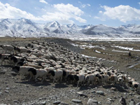 ��ͷʵ���½��������������＾ת�����