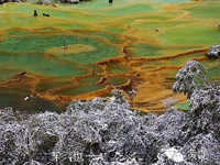 ��������ӭ�����������һ��ѩ��