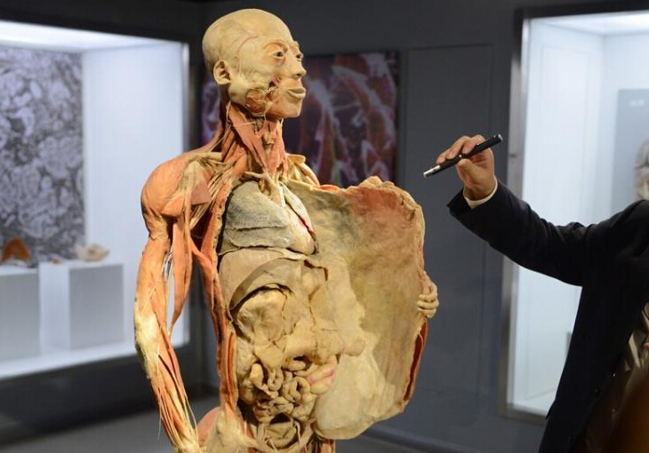 生命奥秘博物馆入驻周庄 演绎“生命的探秘之旅””