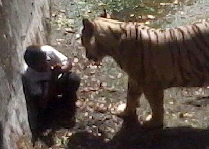 ӡ�ȶ���԰�ϻ�ҧ��һ����ѧ����