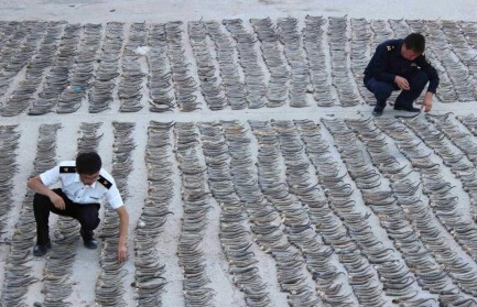 ���ɱ߾������˽��ϡ��ֲ����Ʒ��[��ͼ]��