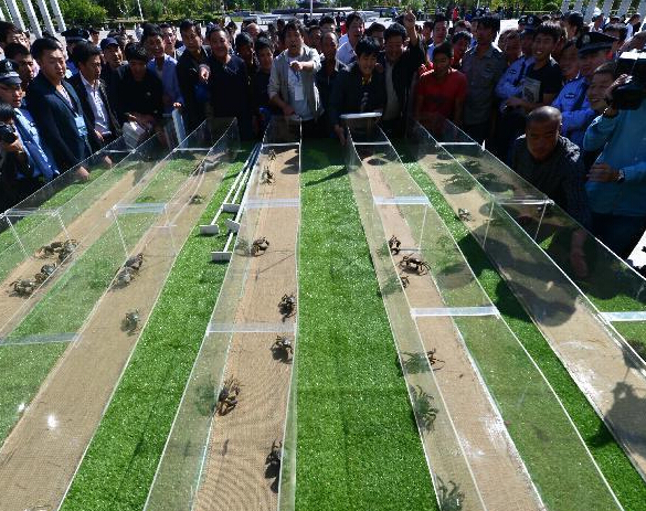 ����ʡ�̽����к�з�����ƴ����