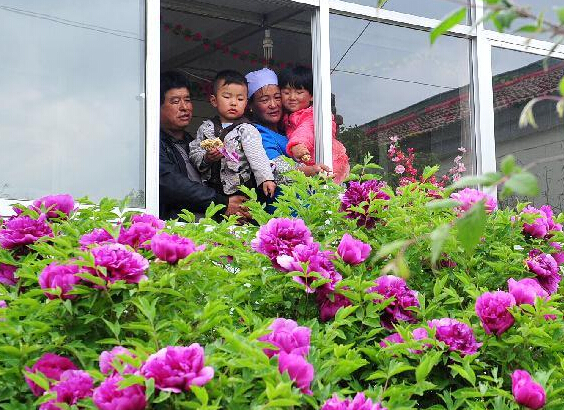 �Ž�Ļ��������ġ�