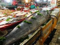 �ൺ���񲶻�412���ء�������������ͼ����