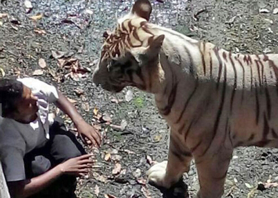 ӡ�����������ϻ�԰��ҧ��(��ͼ)��