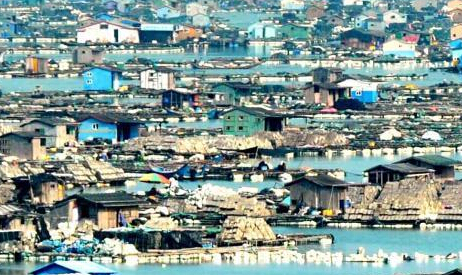 探访福建罗源湾的“海上浮城””