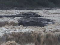 �����ٲ���