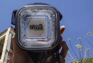 �����ͷŽ���ֻ���������ӡ� �Կ��Ǹ��ȴ���(ͼ)��