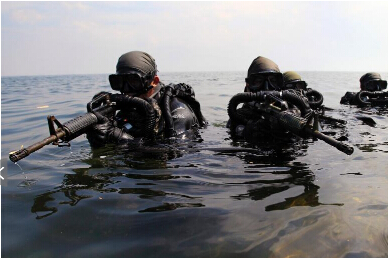 ʵ�ķ��ɱ���������ͻ���ӽ���ѵ��(������ͼ)��