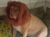 ��������Ϊ��Ȯ������� ˲���������֮��(��ͼ)��