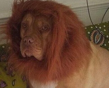 ��������Ϊ��Ȯ������� ˲���������֮����