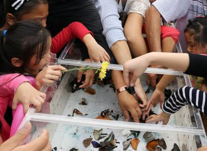 ���Ϻ�������չ ��������ŷɵĺ�����