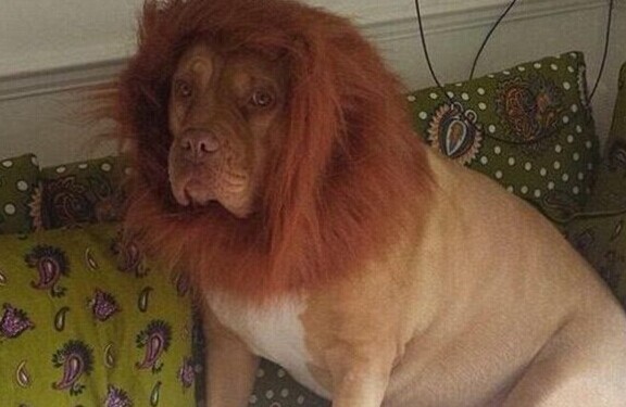 ��������Ϊ��Ȯ������� ˲���������֮����