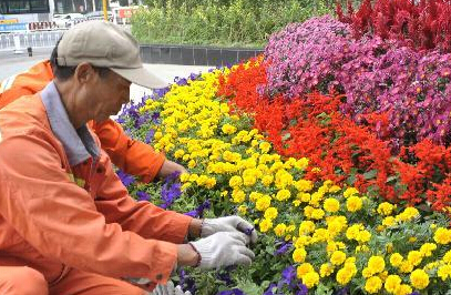 �����ʻ�����������ͷ��