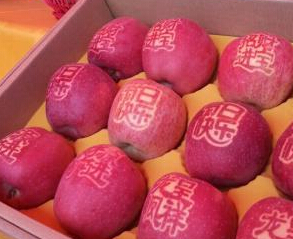 �������ء�������ƻ���ɽ����³衱