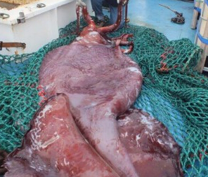 ��ѧ�ҽ���350����������� Ϊ���Դ������ѡ�