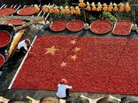 ��ͼ���������ڹ�ӭ���й�65���껪����