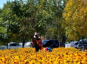 ���೤�ǽ��¾ջ����ޡ�