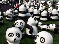 300ֻ����è������ʯ��ׯ ּ�ڻ������ڻ�����ʶ��