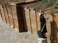 ס���ǰ����æ��