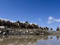 ���ǲ�һ�ҵ�ת��֮·��