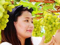 �������ջ����Ρ�