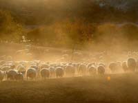 ��ԭ����ͼ��